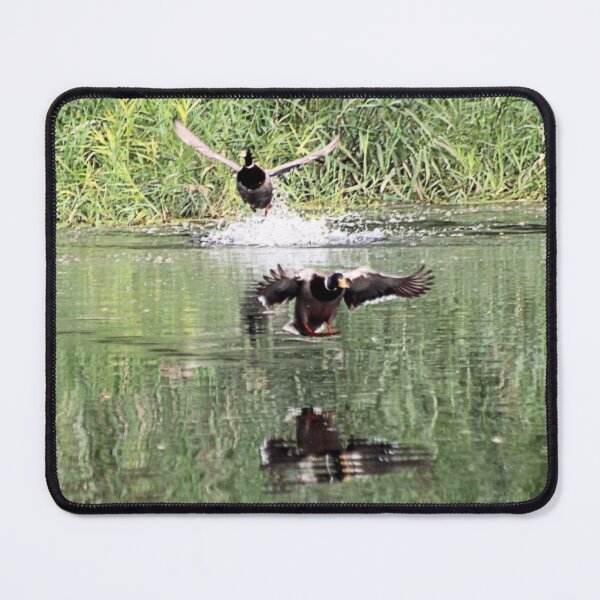 Item preview, THE CHASE designed and sold by BOLLA67.