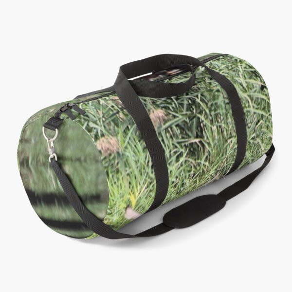 Item preview, THE CHASE designed and sold by BOLLA67.