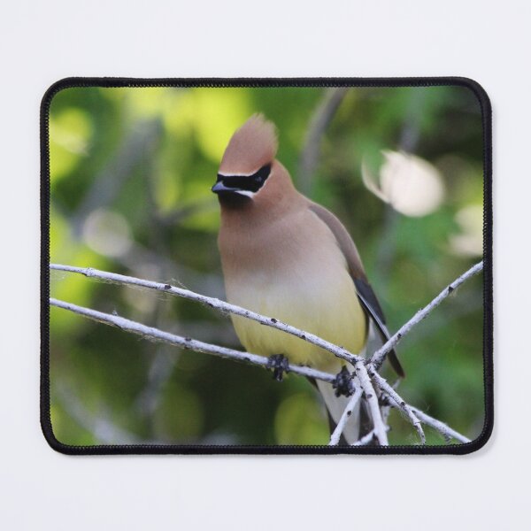 Item preview, The Little Bandit designed and sold by Alyce Taylor.