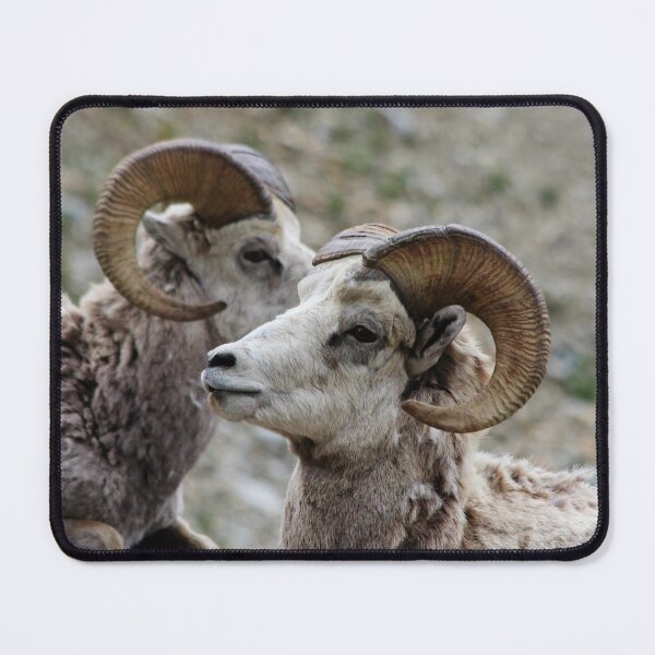 Item preview, Deep in Thought designed and sold by Alyce Taylor.