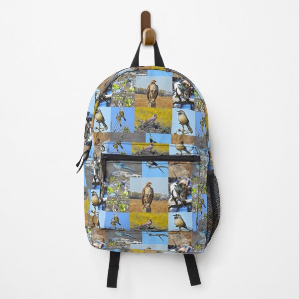 Item preview, Wild Birds of California, wildlife, nature designed and sold by Sandra O'Toole.
