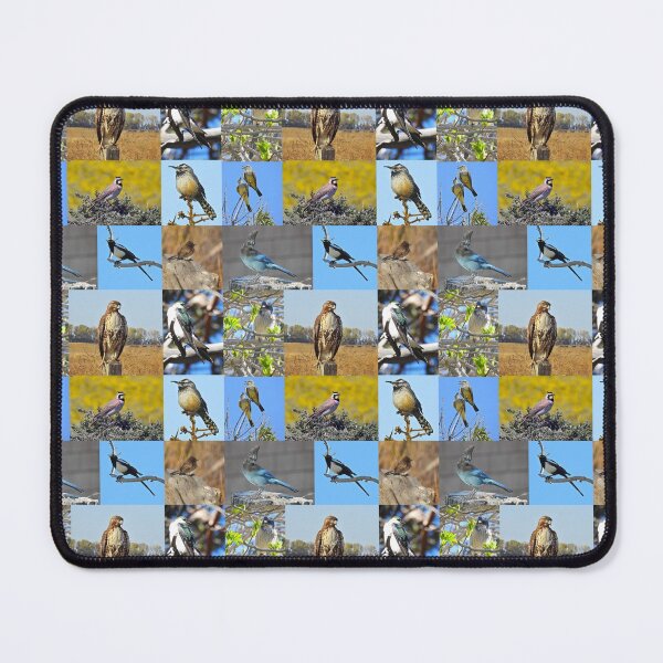 Item preview, Wild Birds of California, wildlife, nature designed and sold by Sandra O'Toole.