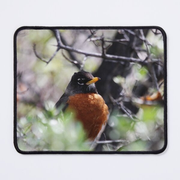 Item preview, Robin Red Breast designed and sold by Alyce Taylor.