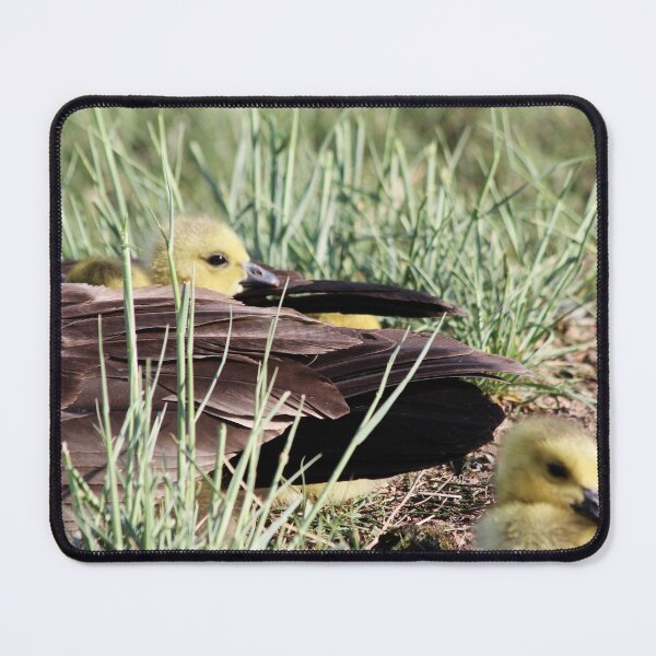 Item preview, A Mother's Love designed and sold by Alyce Taylor.