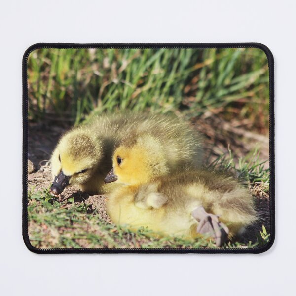 Item preview, Telling Secrets designed and sold by Alyce Taylor.