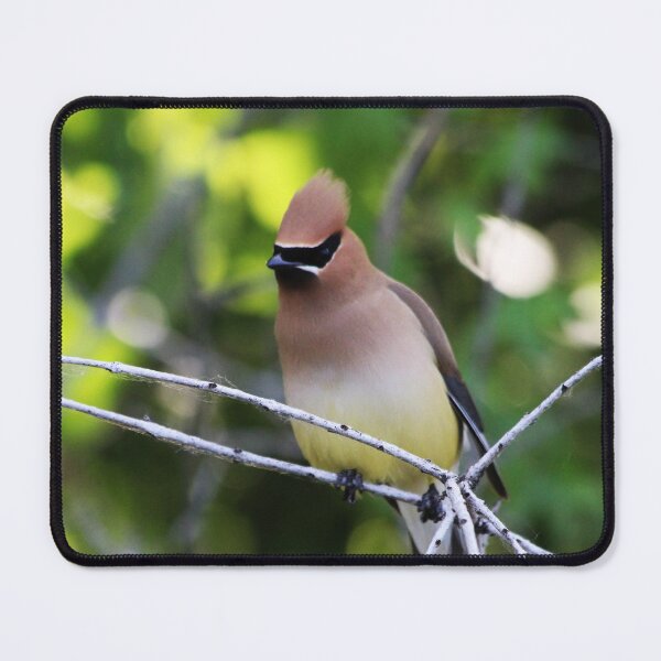 Item preview, Cedar Waxwing designed and sold by Alyce Taylor.