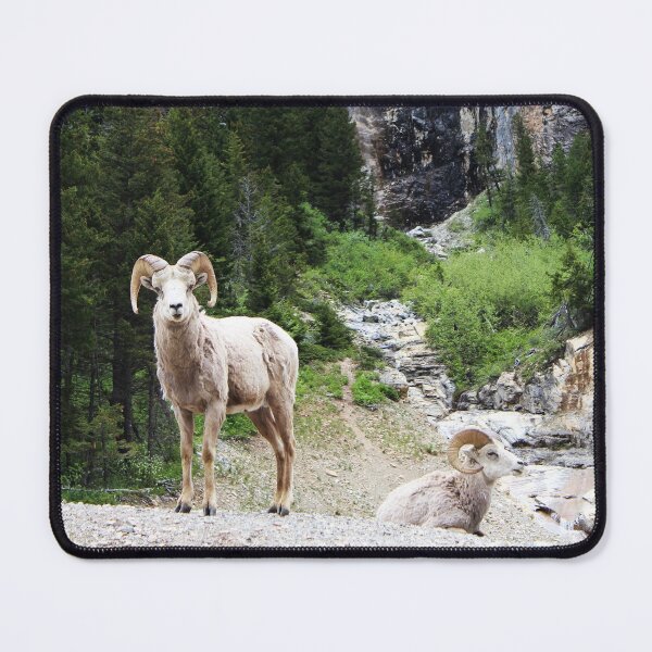 Item preview, The Perfect Backdrop designed and sold by Alyce Taylor.