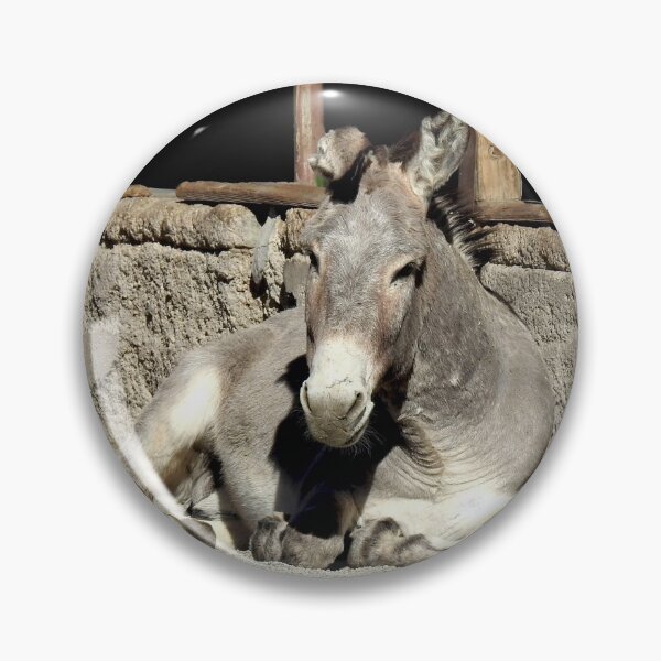 Item preview, Wild burros, donkeys, wildlife, Restless Spirit designed and sold by Sandra O'Toole.
