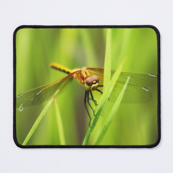 Item preview, Dragonfly designed and sold by Alyce Taylor.
