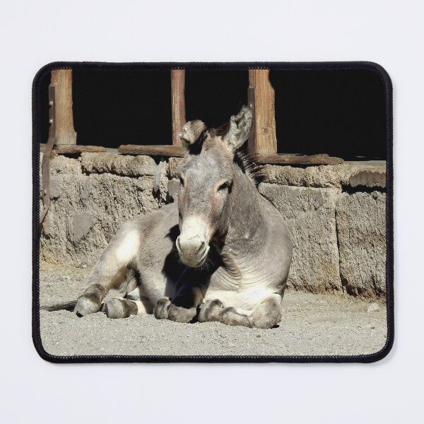 Item preview, Wild burros, donkeys, wildlife, Restless Spirit designed and sold by Sandra O'Toole.