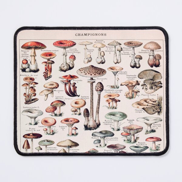 Item preview, Vintage Botanical Mushroom Illustration designed and sold by TheLykosApparel.