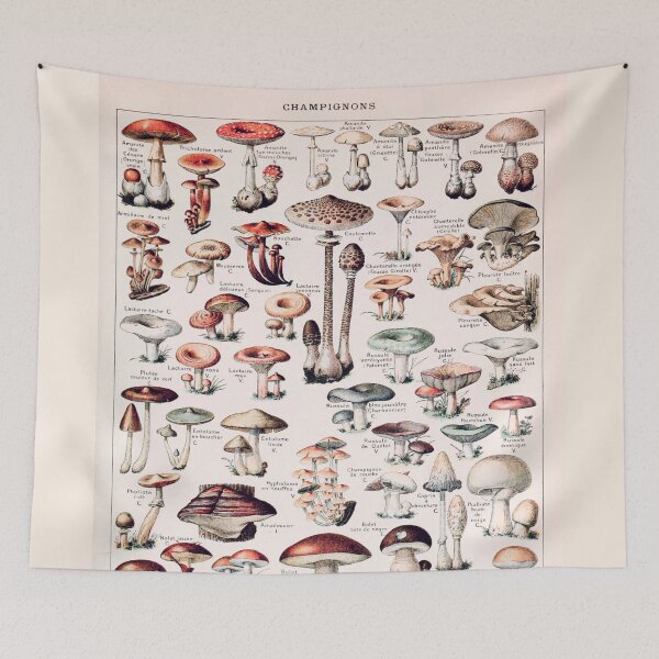 Item preview, Vintage Botanical Mushroom Illustration designed and sold by TheLykosApparel.