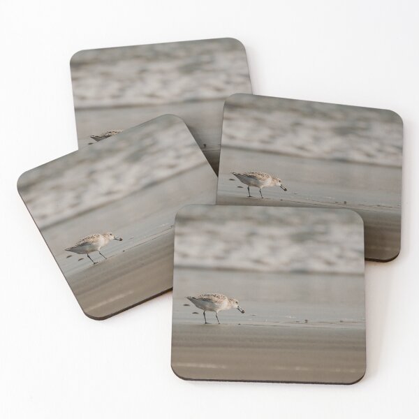Item preview, Sanderling Scarborough, RI designed and sold by photodunnright.