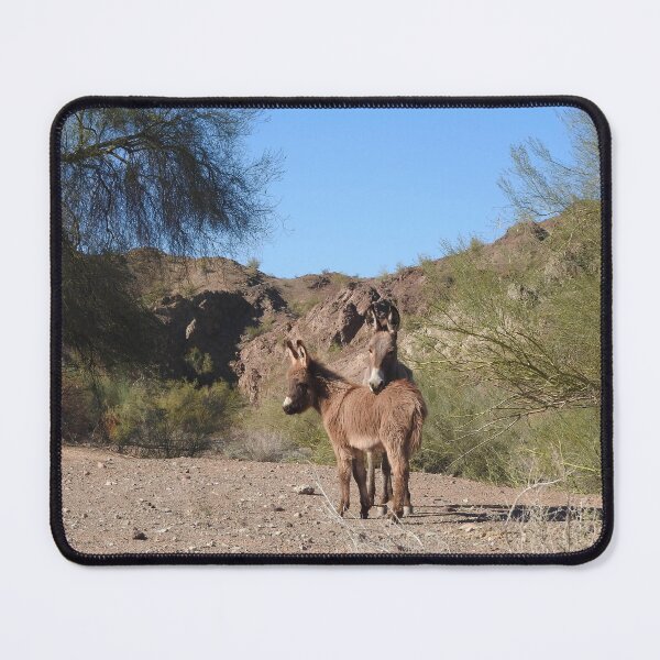 Item preview, Wild burros, donkeys, wildlife, wild animals  designed and sold by Sandra O'Toole.