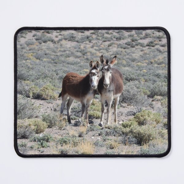 Item preview, Burros salvajes, burros, fauna, Mama y Baby Burro designed and sold by Sandra O'Toole.