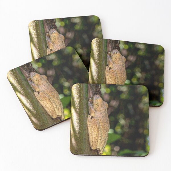 Item preview, Frog on Bamboo designed and sold by darren-j-mcleod.