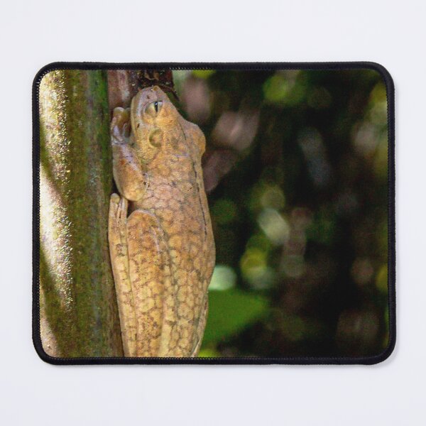 Frog on Bamboo Mouse Pad