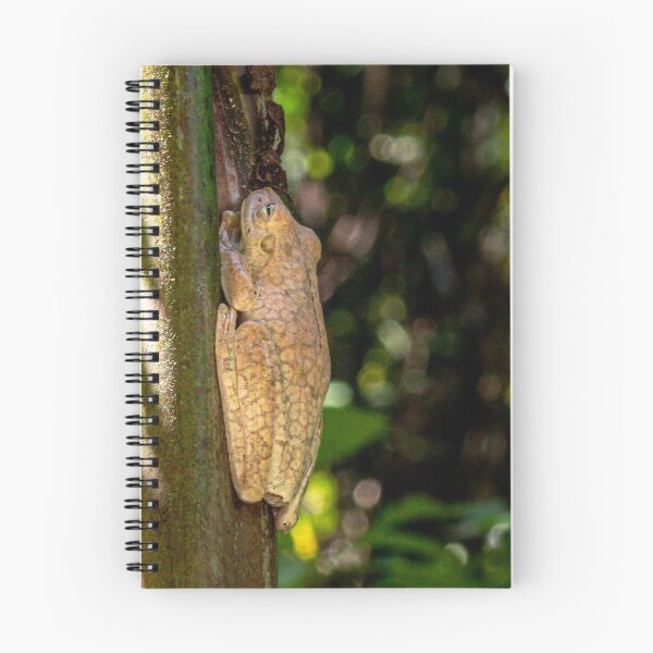 Item preview, Frog on Bamboo designed and sold by darren-j-mcleod.