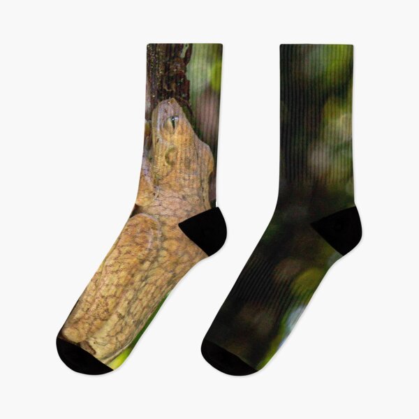 Item preview, Frog on Bamboo designed and sold by darren-j-mcleod.