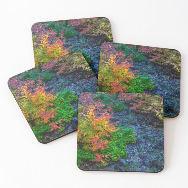 Item preview, Autumn Leaves in the Stream, Fall Colors, Fall Wall Art, Autumn Canvas Prints,  designed and sold by DAM Creative ⭐⭐⭐⭐⭐.