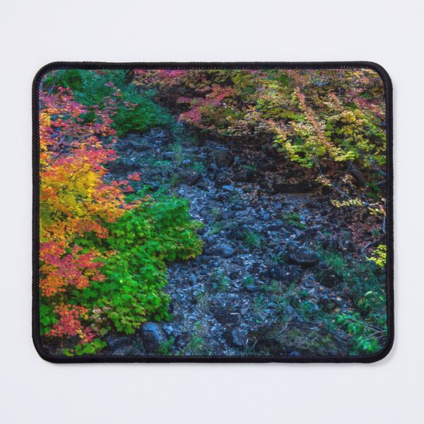 Item preview, Autumn Leaves in the Stream, Fall Colors, Fall Wall Art, Autumn Canvas Prints,  designed and sold by DAM Creative ⭐⭐⭐⭐⭐.