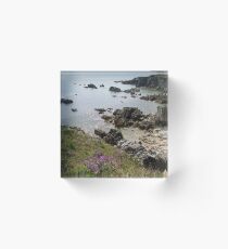 Marée basse Acrylic Block