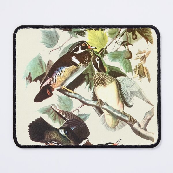 Item preview, Wood Duck - Audubon designed and sold by sanerevolution.