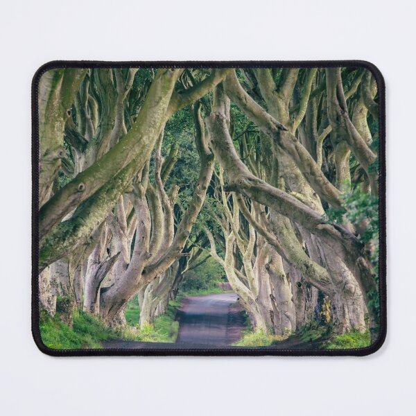 Item preview, The Dark Hedges designed and sold by David Lichtneker.