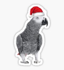 African Grey Parrot - Merry Christmas! Sticker
