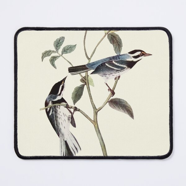 Item preview, Black-throated Gray Warbler - Audubon designed and sold by sanerevolution.
