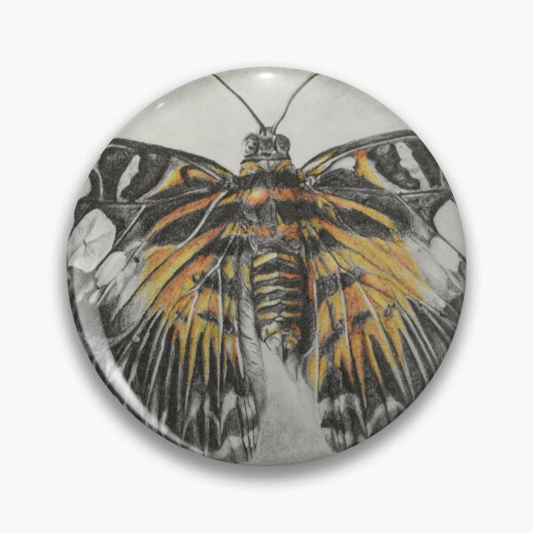 Item preview, Butterfly (Graphite, Coloured Pencil, Charcoal) designed and sold by dchfineart.