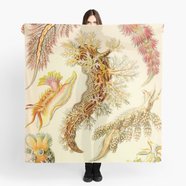 Item preview, Sea Slug - Ernst Haeckel designed and sold by billythekidtees.