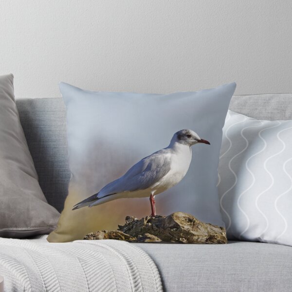 Item preview, Black-headed Gull (Larus ridibundus) designed and sold by Andy Harker.