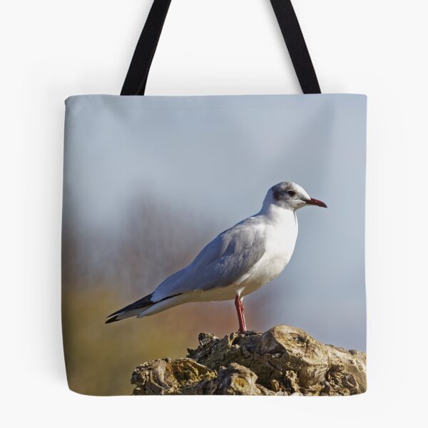Item preview, Black-headed Gull (Larus ridibundus) designed and sold by Andy Harker.
