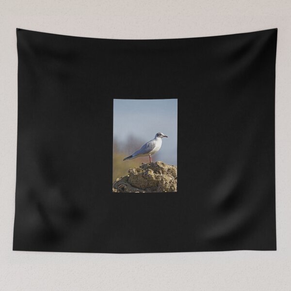 Item preview, Black-headed Gull (Larus ridibundus) designed and sold by Andy Harker.