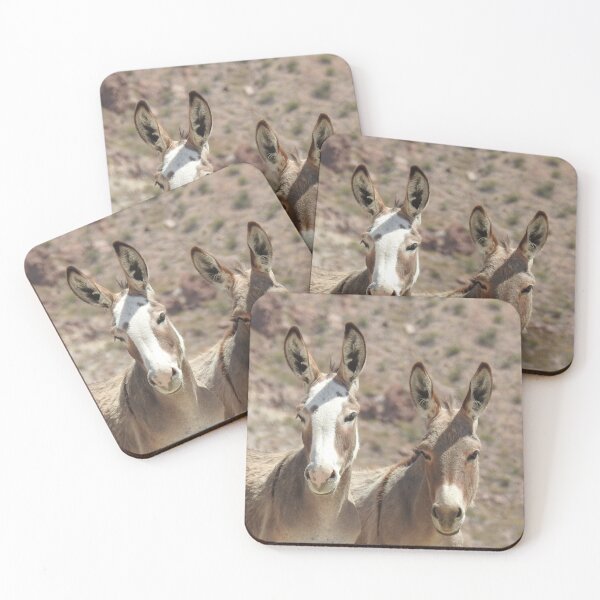 Item preview, Wild Burros, donkeys, wildlife, Arizona Babes designed and sold by Sandra O'Toole.
