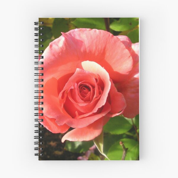 Item preview, Pink Rose designed and sold by lezvee.