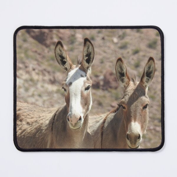 Item preview, Wild Burros, burros, vida silvestre, Arizona Babes designed and sold by Sandra O'Toole.