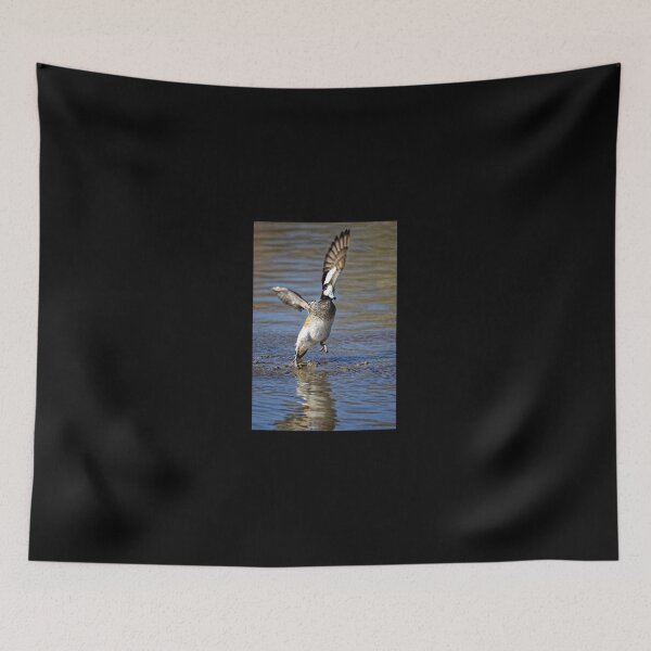 Item preview, Chiloe wigeon (Anas Sibilatrix)  designed and sold by Andy Harker.