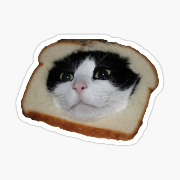 Kawaii Bread Cat Sticker for Sale by Lily mae