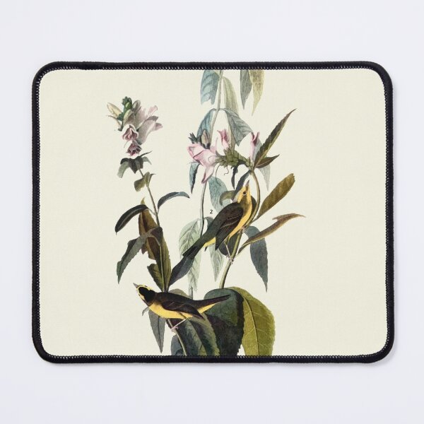 Item preview, Wilson's Warbler - Audubon designed and sold by sanerevolution.