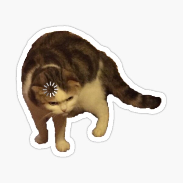 cat meme icons｜TikTok Search