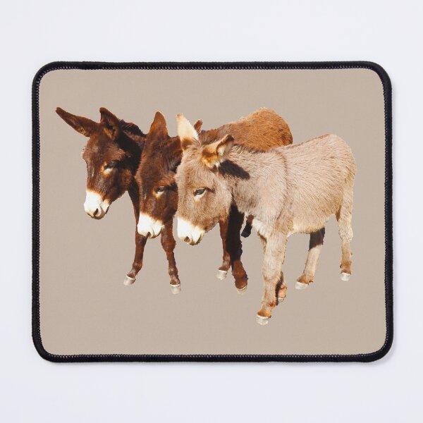 Item preview, Wild burros, donkeys, wildlife, Wild Burro Buddies designed and sold by Sandra O'Toole.