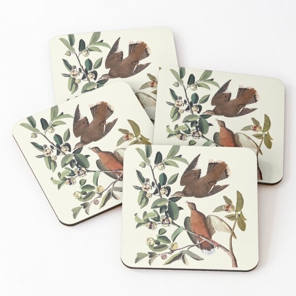 Item preview, Zenaida Dove - Audubon designed and sold by sanerevolution.