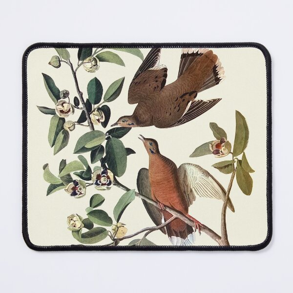 Item preview, Zenaida Dove - Audubon designed and sold by sanerevolution.