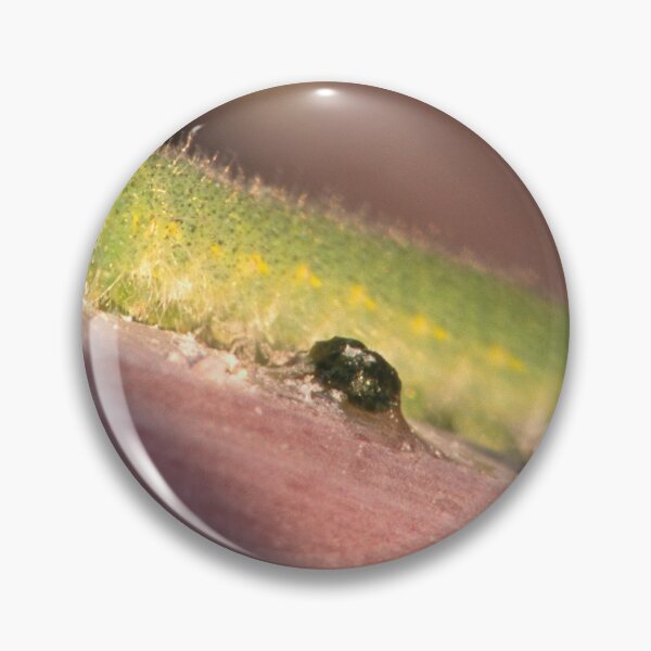 Item preview, Green Caterpillar designed and sold by Bill Spengler's Photographic Thoughts.