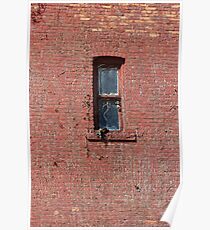 Window after the Vines Poster