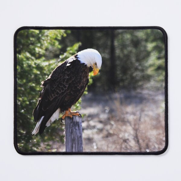Item preview, Deep Thoughts designed and sold by Alyce Taylor.