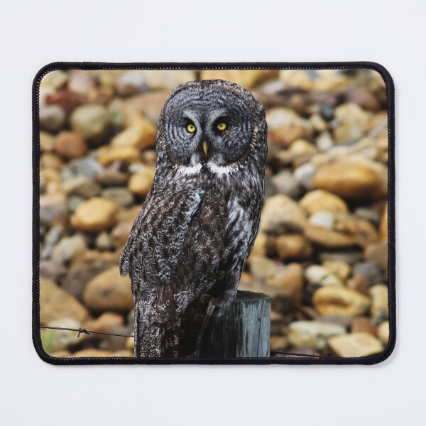 Item preview, Great Grey Owl designed and sold by Alyce Taylor.