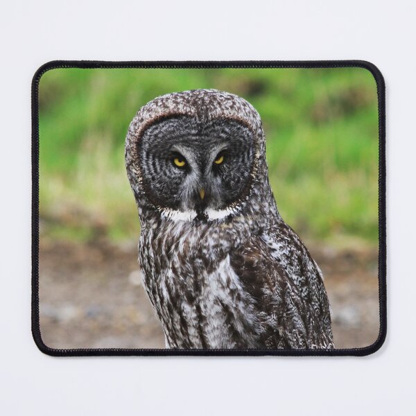 Item preview, The Scowl designed and sold by Alyce Taylor.